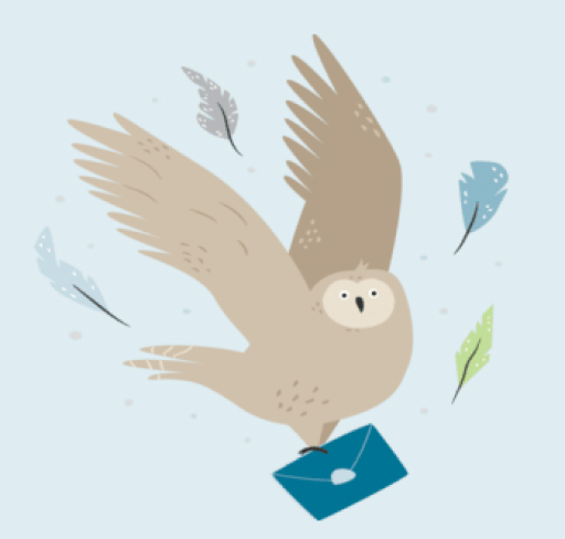 owl verification